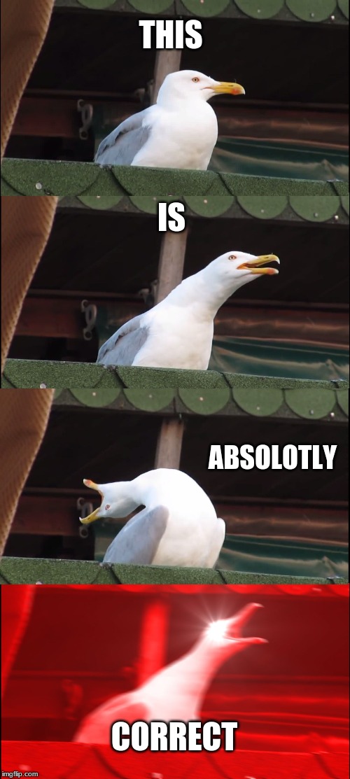 Inhaling Seagull Meme | THIS IS ABSOLOTLY CORRECT | image tagged in memes,inhaling seagull | made w/ Imgflip meme maker