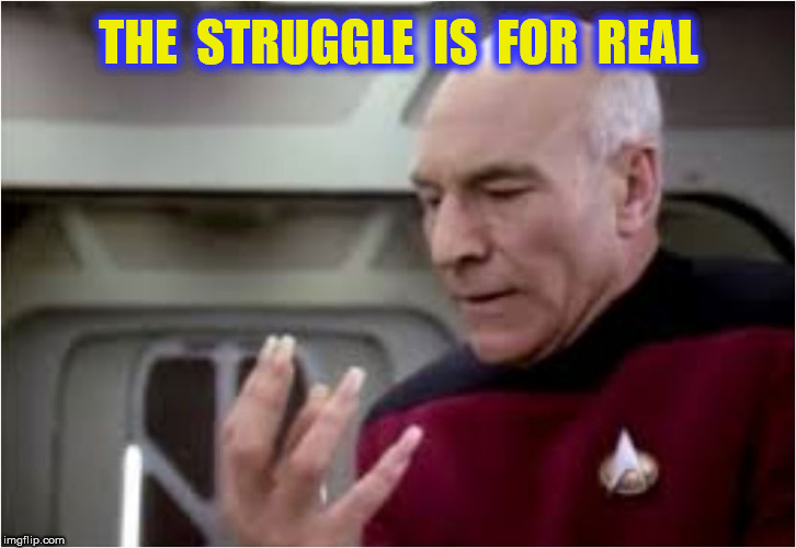 THE  STRUGGLE  IS  FOR  REAL | made w/ Imgflip meme maker
