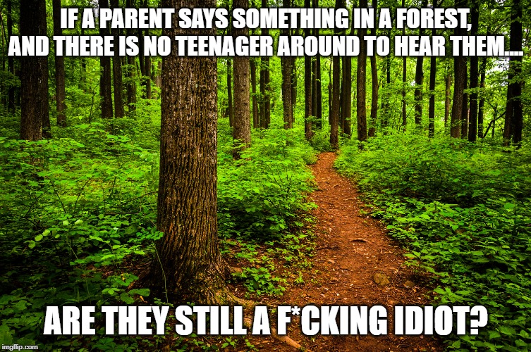 forest path | IF A PARENT SAYS SOMETHING IN A FOREST, AND THERE IS NO TEENAGER AROUND TO HEAR THEM.... ARE THEY STILL A F*CKING IDIOT? | image tagged in forest path | made w/ Imgflip meme maker