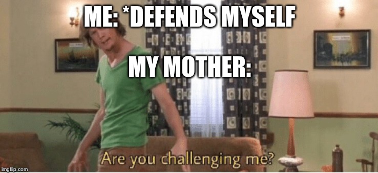 are you challenging me | ME: *DEFENDS MYSELF; MY MOTHER: | image tagged in are you challenging me | made w/ Imgflip meme maker