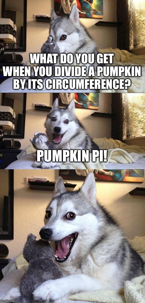 Bad Pun Dog Meme | WHAT DO YOU GET WHEN YOU DIVIDE A PUMPKIN BY ITS CIRCUMFERENCE? PUMPKIN PI! | image tagged in memes,bad pun dog | made w/ Imgflip meme maker