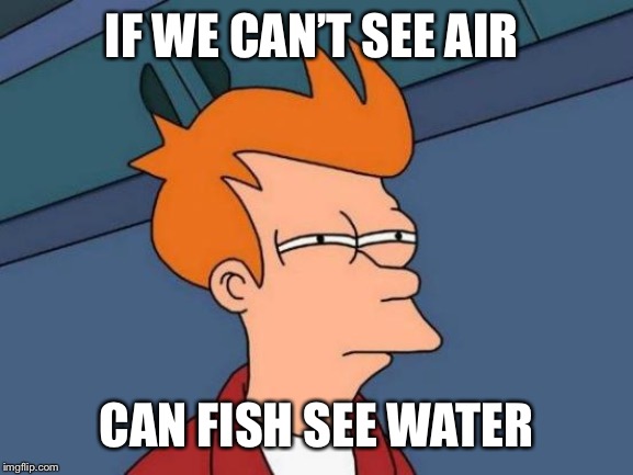Futurama Fry | IF WE CAN’T SEE AIR; CAN FISH SEE WATER | image tagged in memes,futurama fry | made w/ Imgflip meme maker