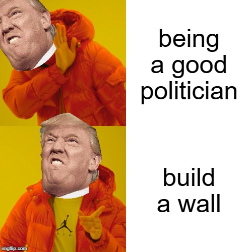 donald trump facts | being a good politician; build a wall | image tagged in memes,drake hotline bling | made w/ Imgflip meme maker