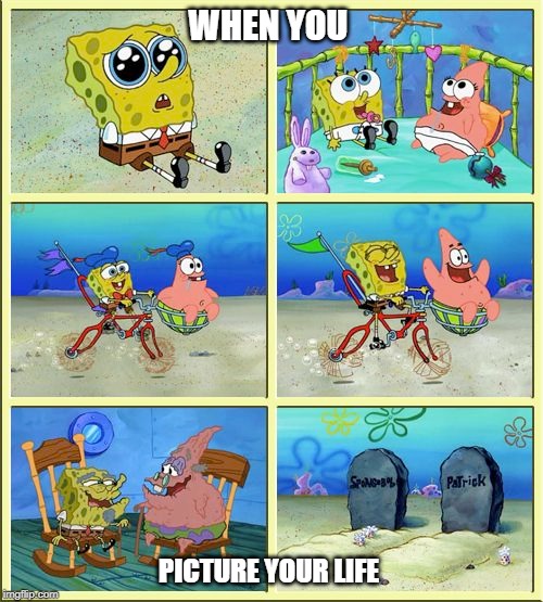 WHEN YOU; PICTURE YOUR LIFE | image tagged in life | made w/ Imgflip meme maker