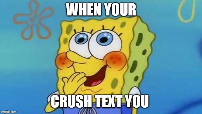 WHEN YOUR; CRUSH TEXT YOU | image tagged in when your crush | made w/ Imgflip meme maker