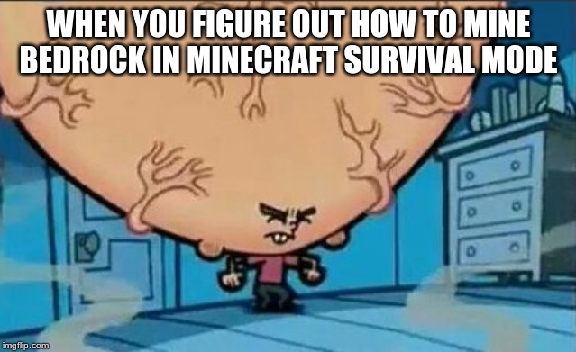Big Brain timmy | WHEN YOU FIGURE OUT HOW TO MINE BEDROCK IN MINECRAFT SURVIVAL MODE | image tagged in big brain timmy | made w/ Imgflip meme maker