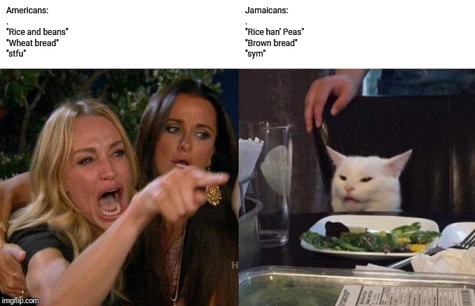 Woman Yelling At Cat | Americans:
.

"Rice and beans"
"Wheat bread"
"stfu"; Jamaicans:
.

"Rice han' Peas"
"Brown bread"
"sym" | image tagged in memes,woman yelling at a cat | made w/ Imgflip meme maker
