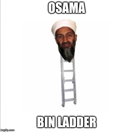 osama bin ladder | OSAMA; BIN LADDER | image tagged in isis | made w/ Imgflip meme maker