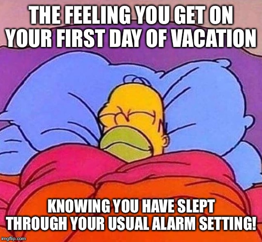 Homer Simpson sleeping peacefully | THE FEELING YOU GET ON YOUR FIRST DAY OF VACATION; KNOWING YOU HAVE SLEPT THROUGH YOUR USUAL ALARM SETTING! | image tagged in homer simpson sleeping peacefully | made w/ Imgflip meme maker