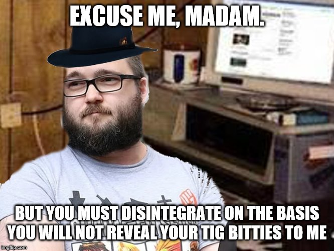 Basement Dweller | EXCUSE ME, MADAM. BUT YOU MUST DISINTEGRATE ON THE BASIS YOU WILL NOT REVEAL YOUR TIG BITTIES TO ME | image tagged in basement dweller | made w/ Imgflip meme maker