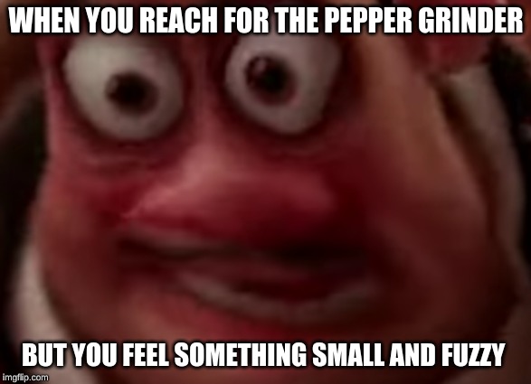 yelling internally | WHEN YOU REACH FOR THE PEPPER GRINDER; BUT YOU FEEL SOMETHING SMALL AND FUZZY | image tagged in waiter,pepper grinder,memes,disney | made w/ Imgflip meme maker