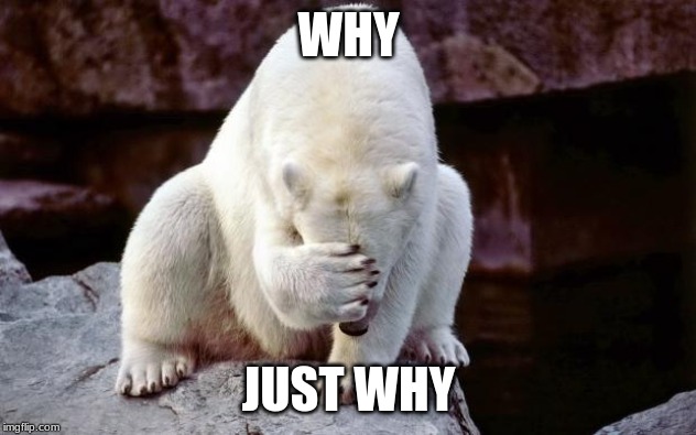 Horribly embarrassed polar bear | WHY JUST WHY | image tagged in horribly embarrassed polar bear | made w/ Imgflip meme maker