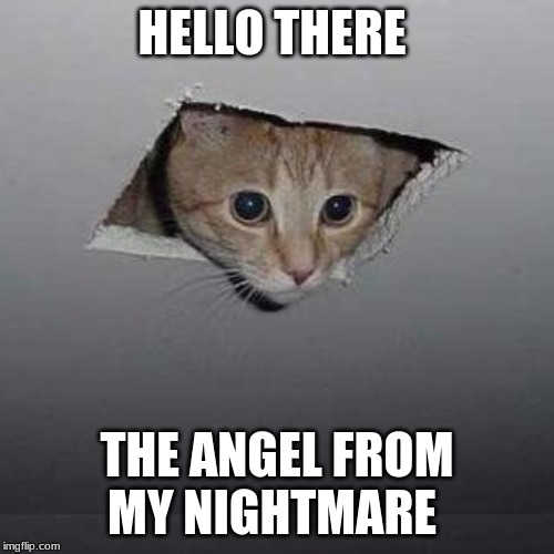 Ceiling Cat | HELLO THERE; THE ANGEL FROM MY NIGHTMARE | image tagged in memes,ceiling cat | made w/ Imgflip meme maker