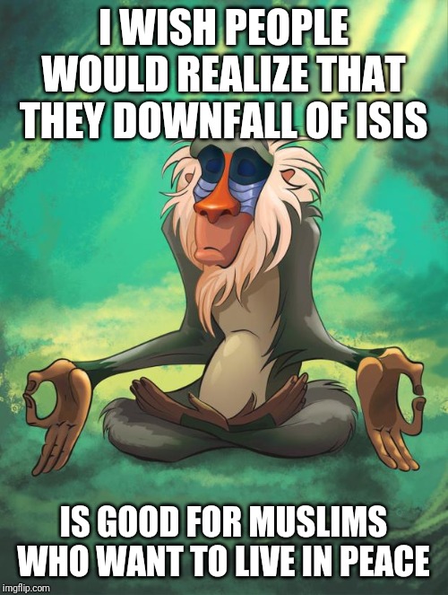 Rafiki wisdom | I WISH PEOPLE WOULD REALIZE THAT THEY DOWNFALL OF ISIS; IS GOOD FOR MUSLIMS WHO WANT TO LIVE IN PEACE | image tagged in rafiki wisdom | made w/ Imgflip meme maker