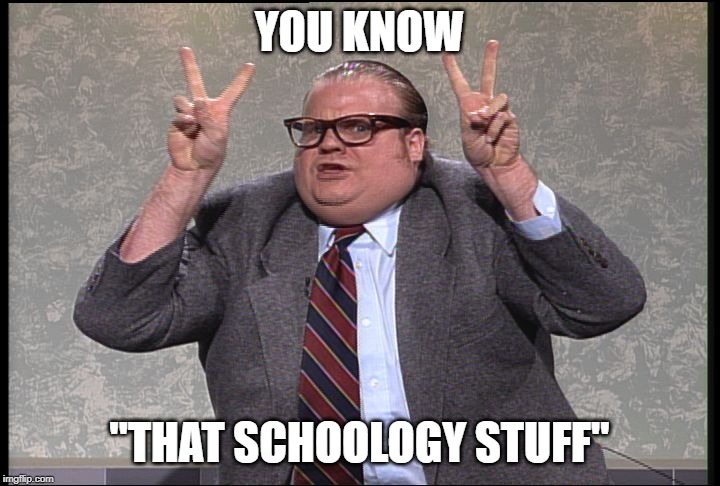 Chris Farley Quotes | YOU KNOW; "THAT SCHOOLOGY STUFF" | image tagged in chris farley quotes | made w/ Imgflip meme maker