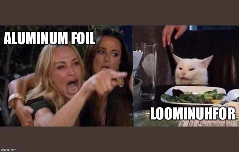 woman yelling at cat | ALUMINUM FOIL; LOOMINUHFOR | image tagged in woman yelling at cat | made w/ Imgflip meme maker