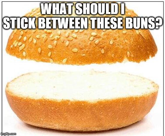 Stupid question just begging for a stupid answer | WHAT SHOULD I STICK BETWEEN THESE BUNS? | image tagged in nothing burger | made w/ Imgflip meme maker
