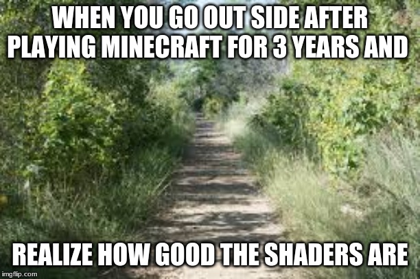 WHEN YOU GO OUT SIDE AFTER PLAYING MINECRAFT FOR 3 YEARS AND; REALIZE HOW GOOD THE SHADERS ARE | image tagged in minecraft steve | made w/ Imgflip meme maker
