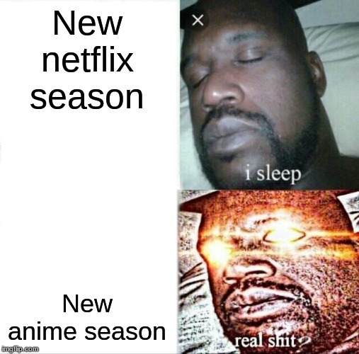 Sleeping Shaq Meme | New netflix season; New anime season | image tagged in memes,sleeping shaq | made w/ Imgflip meme maker