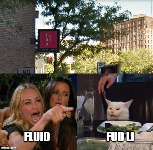 FUD LI; FLUID | image tagged in woman yelling at cat | made w/ Imgflip meme maker