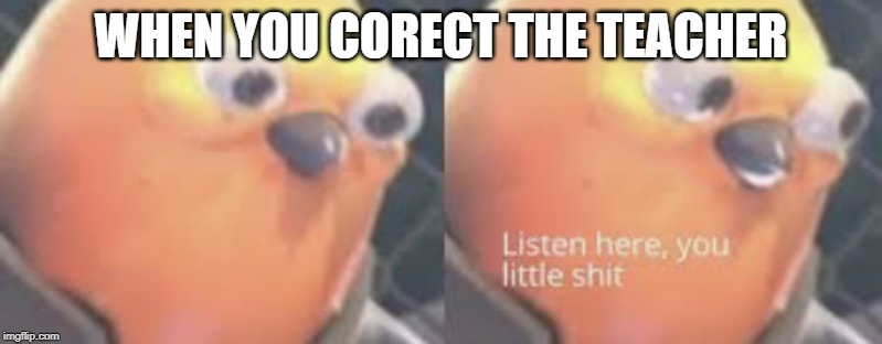 Listen here you little shit bird | WHEN YOU CORECT THE TEACHER | image tagged in listen here you little shit bird | made w/ Imgflip meme maker