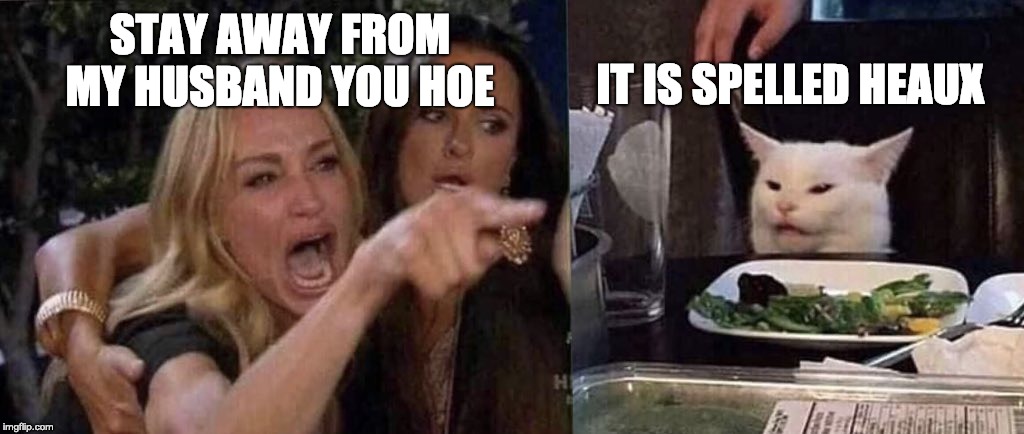 woman yelling at cat | IT IS SPELLED HEAUX; STAY AWAY FROM MY HUSBAND YOU HOE | image tagged in woman yelling at cat | made w/ Imgflip meme maker