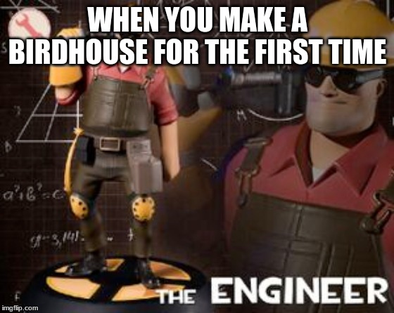 The Engineer | WHEN YOU MAKE A BIRDHOUSE FOR THE FIRST TIME | image tagged in memes,funny,tf2 | made w/ Imgflip meme maker
