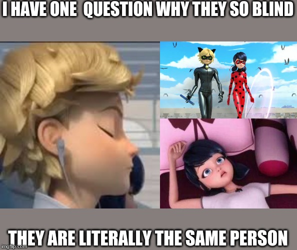 I HAVE ONE  QUESTION WHY THEY SO BLIND; THEY ARE LITERALLY THE SAME PERSON | image tagged in miraculous ladybug and cat noir chat noir,miraculous ladybug adrien listening to music,miraculous ladybug marinette in bed | made w/ Imgflip meme maker