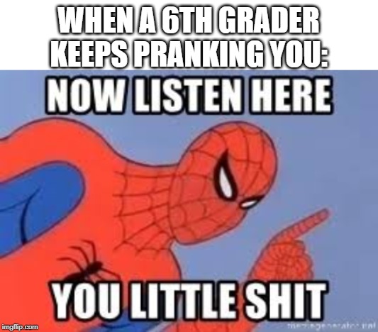 WHEN A 6TH GRADER KEEPS PRANKING YOU: | image tagged in blank white template,now listen you little shit | made w/ Imgflip meme maker