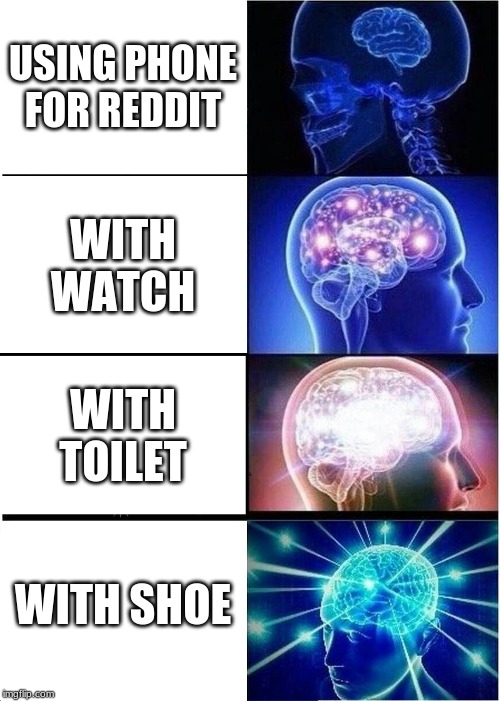 Expanding Brain | USING PHONE FOR REDDIT; WITH WATCH; WITH TOILET; WITH SHOE | image tagged in memes,expanding brain | made w/ Imgflip meme maker