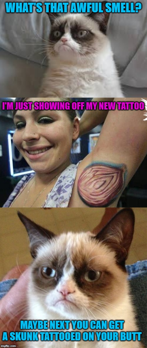 Makes you wanna cry | WHAT'S THAT AWFUL SMELL? I'M JUST SHOWING OFF MY NEW TATTOO; MAYBE NEXT YOU CAN GET A SKUNK TATTOOED ON YOUR BUTT | image tagged in memes,grumpy cat,bad tattoos,cat,onion | made w/ Imgflip meme maker