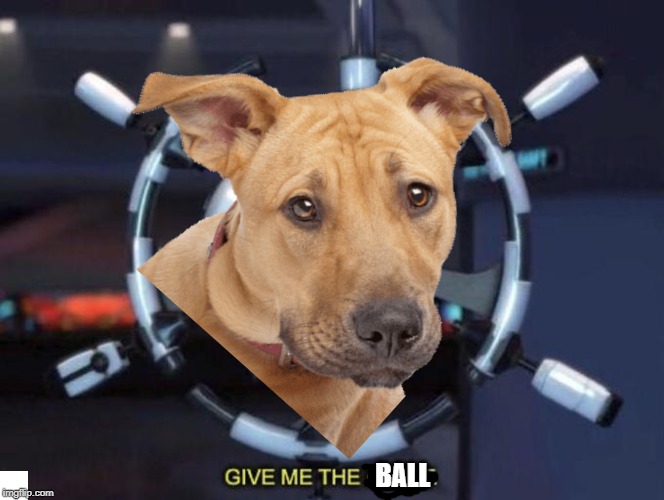 DEW IT | BALL | image tagged in give me the plant | made w/ Imgflip meme maker