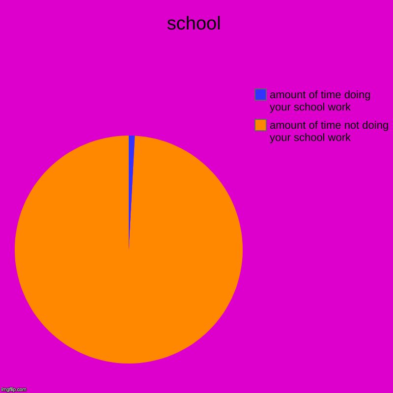 school | amount of time not doing your school work, amount of time doing your school work | image tagged in charts,pie charts | made w/ Imgflip chart maker