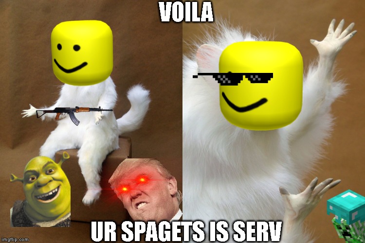 Weird cat | VOILA; UR SPAGETS IS SERV | image tagged in weird cat | made w/ Imgflip meme maker