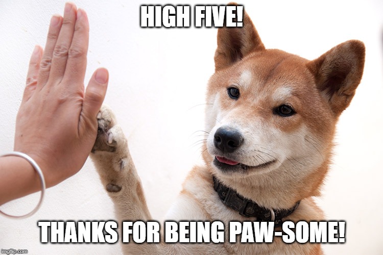 Paw-some Doge | HIGH FIVE! THANKS FOR BEING PAW-SOME! | image tagged in dog,doggo,doge,shiba inu,high five | made w/ Imgflip meme maker