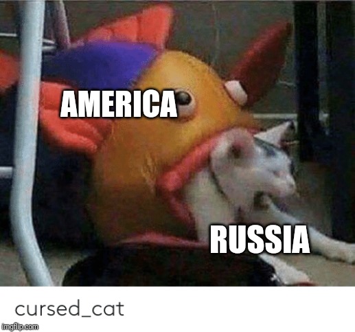 The real battle | AMERICA; RUSSIA | image tagged in america,cat | made w/ Imgflip meme maker
