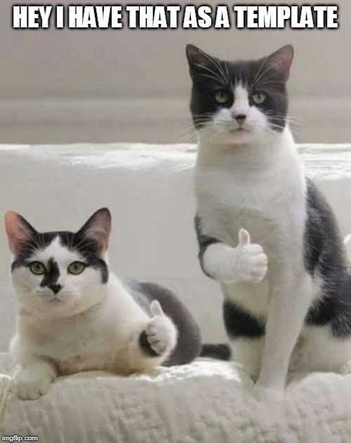 THUMBS UP CATS | HEY I HAVE THAT AS A TEMPLATE | image tagged in thumbs up cats | made w/ Imgflip meme maker
