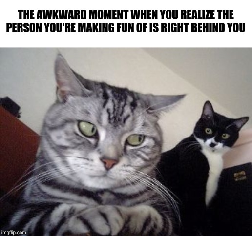 Umm... excuse me? | THE AWKWARD MOMENT WHEN YOU REALIZE THE PERSON YOU'RE MAKING FUN OF IS RIGHT BEHIND YOU | image tagged in umm excuse me | made w/ Imgflip meme maker