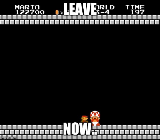 Thank You Mario | LEAVE; NOW.. | image tagged in thank you mario | made w/ Imgflip meme maker