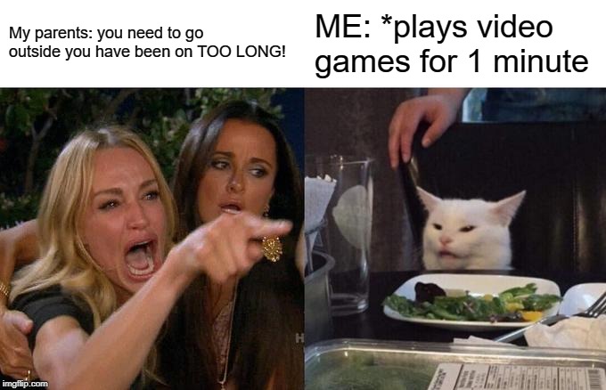 Woman Yelling At Cat | My parents: you need to go outside you have been on TOO LONG! ME: *plays video games for 1 minute | image tagged in memes,woman yelling at a cat | made w/ Imgflip meme maker