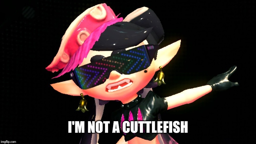 Callie boss fight | I'M NOT A CUTTLEFISH | image tagged in callie boss fight | made w/ Imgflip meme maker