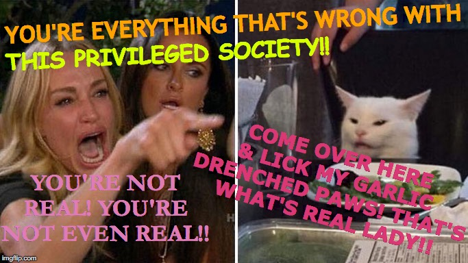 Winners and Losers on Reality TV | YOU'RE EVERYTHING THAT'S WRONG WITH; THIS PRIVILEGED SOCIETY!! COME OVER HERE & LICK MY GARLIC DRENCHED PAWS! THAT'S WHAT'S REAL LADY!! YOU'RE NOT REAL! YOU'RE NOT EVEN REAL!! | image tagged in angry lady cat,memes,reality tv,say that again i dare you,cat memes,you have become the very thing you swore to destroy | made w/ Imgflip meme maker