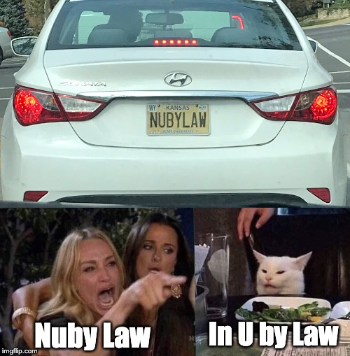 In U by Law; Nuby Law | image tagged in woman yelling at cat | made w/ Imgflip meme maker