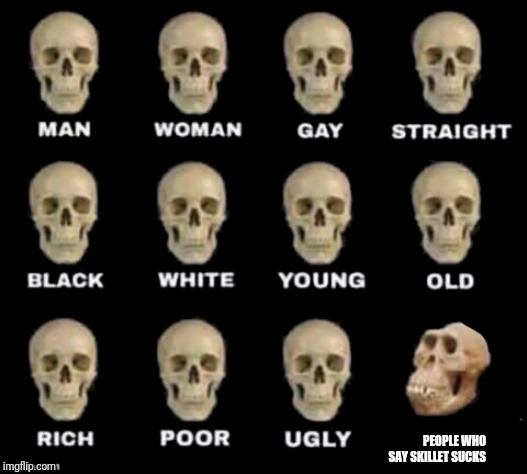 idiot skull | PEOPLE WHO SAY SKILLET SUCKS | image tagged in idiot skull | made w/ Imgflip meme maker