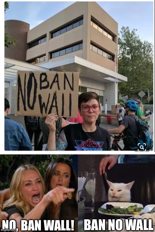 American Politics 2019, Colorized | NO, BAN WALL! BAN NO WALL | image tagged in memes,woman yelling at a cat,politics,the wall | made w/ Imgflip meme maker