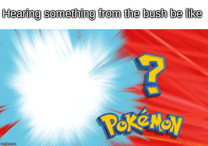 Who's That Pokemon | Hearing something from the bush be like | image tagged in who's that pokemon | made w/ Imgflip meme maker