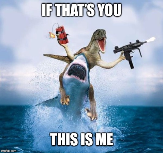 Dinosaur Riding Shark | IF THAT’S YOU THIS IS ME | image tagged in dinosaur riding shark | made w/ Imgflip meme maker