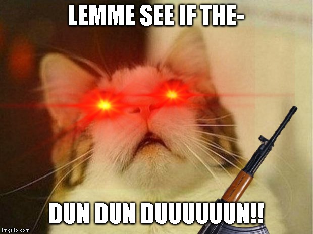 LEMME SEE IF THE-; DUN DUN DUUUUUUN!! | image tagged in cat,for really big mistakes | made w/ Imgflip meme maker