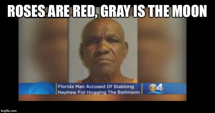ROSES ARE RED, GRAY IS THE MOON | image tagged in florida | made w/ Imgflip meme maker