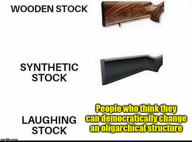 Laughing Stock | People who think they can democratically change an oligarchical structure | image tagged in laughing stock,democrats,republicans | made w/ Imgflip meme maker